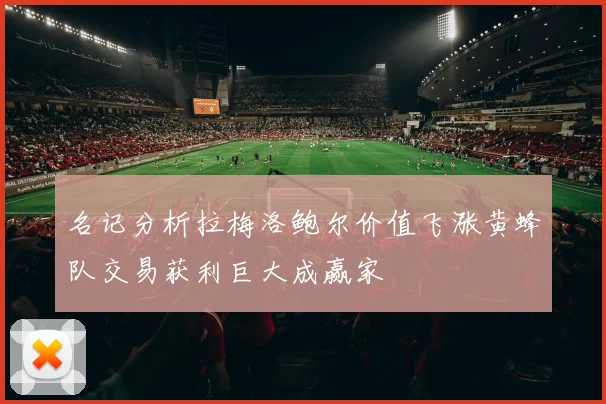 名记分析拉梅洛鲍尔价值飞涨黄蜂队交易获利巨大成赢家